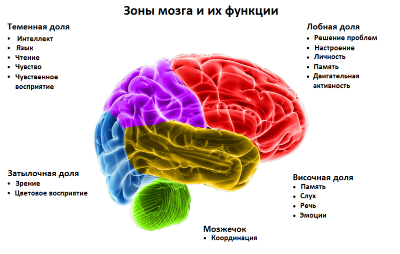 Глиома головного мозга: симптомы, стадии, диагностика и методы лечения