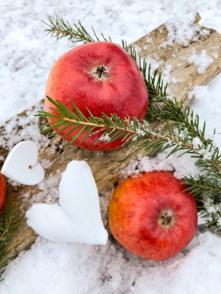 11 полезных фруктов в зимний период