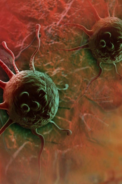 Производные артемизинина подавляют эпителиальные раковые клетки яичников посредством остановки клеточного цикла  опосредованной аутофагией