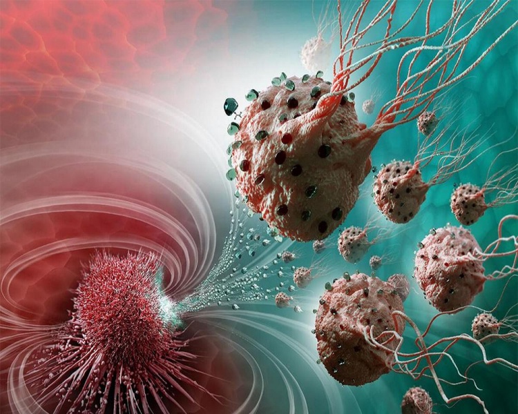 Артемизинин усиливает противоопухолевую иммунную реакцию в раковых клетках молочной железы 4T1 in vitro и in vivo