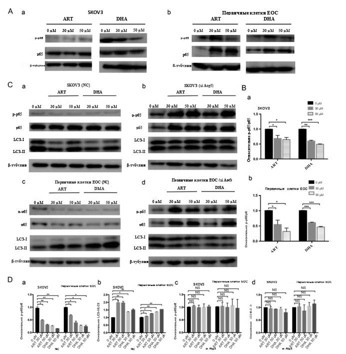 РакКожи4 РакКожи4
