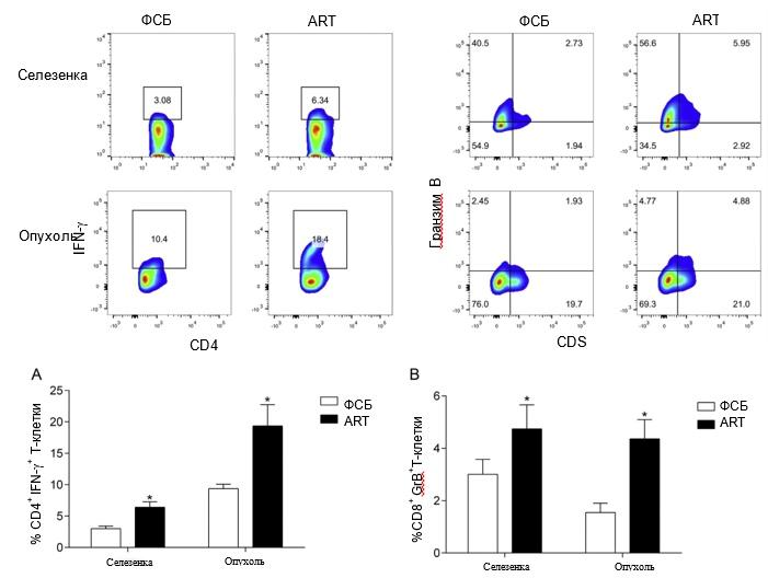 РакГруди4 РакГруди4