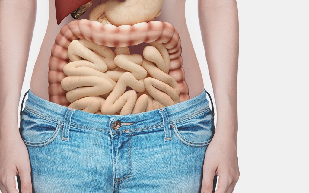 Бузина2 Бузина2