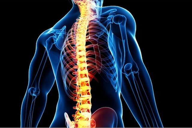 РакПозвоночника  РакПозвоночника