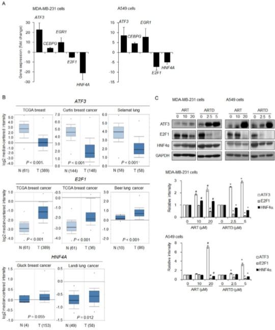 АнтиракАктив4 АнтиракАктив4