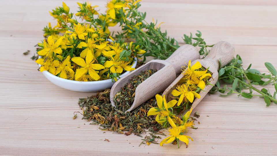 ФитотаргетнаяТерапия3 ФитотаргетнаяТерапия3