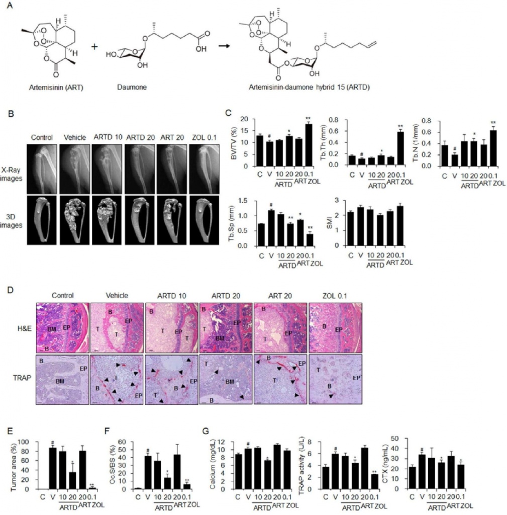 АнтиракАктив АнтиракАктив