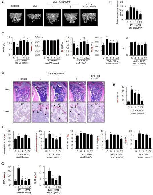 АнтиракАктив6 АнтиракАктив6