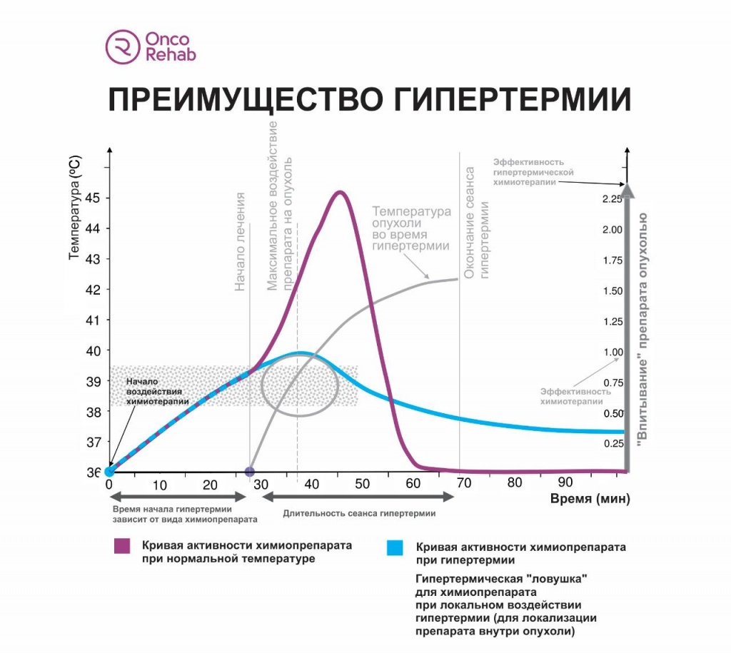 РакТолстойКишки12