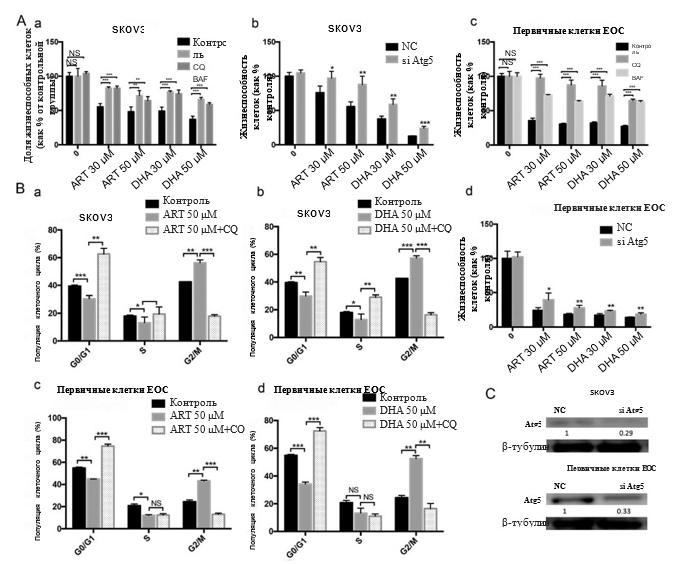 РакКожи3 РакКожи3