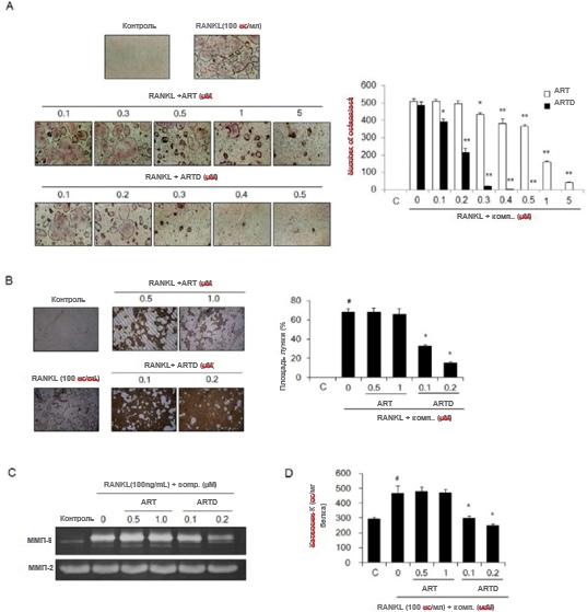 АнтиракАктив5 АнтиракАктив5