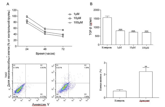 РакГруди РакГруди