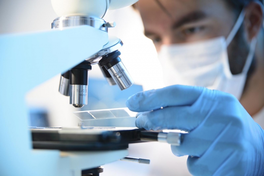 Цитология Цитология