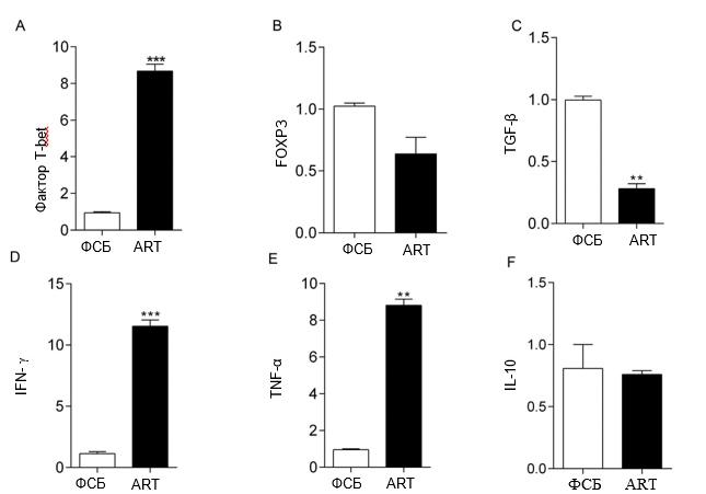 РакГруди5 РакГруди5