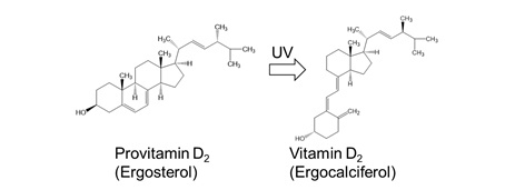 Хлорелла11 Хлорелла11