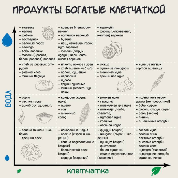 БогатыеКлетчаткой2