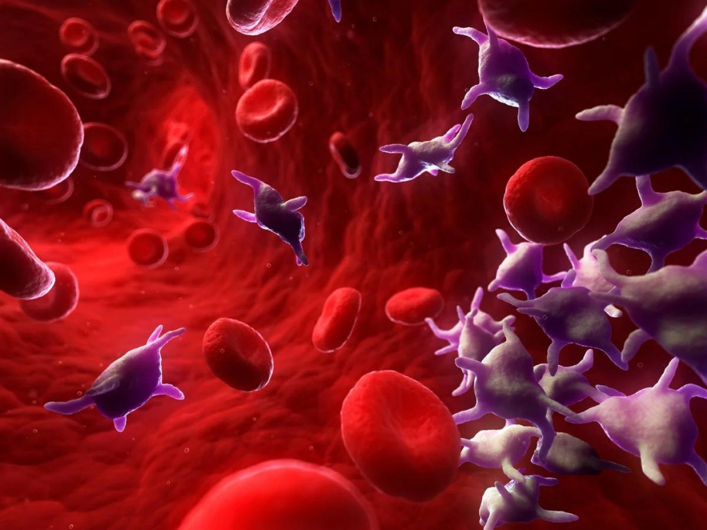 Тромбоциты Тромбоциты