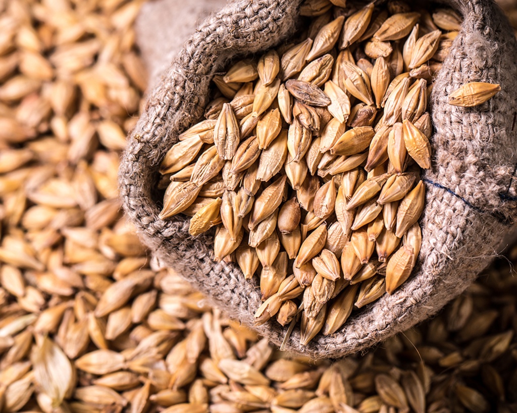 РжанаяМука1 РжанаяМука1