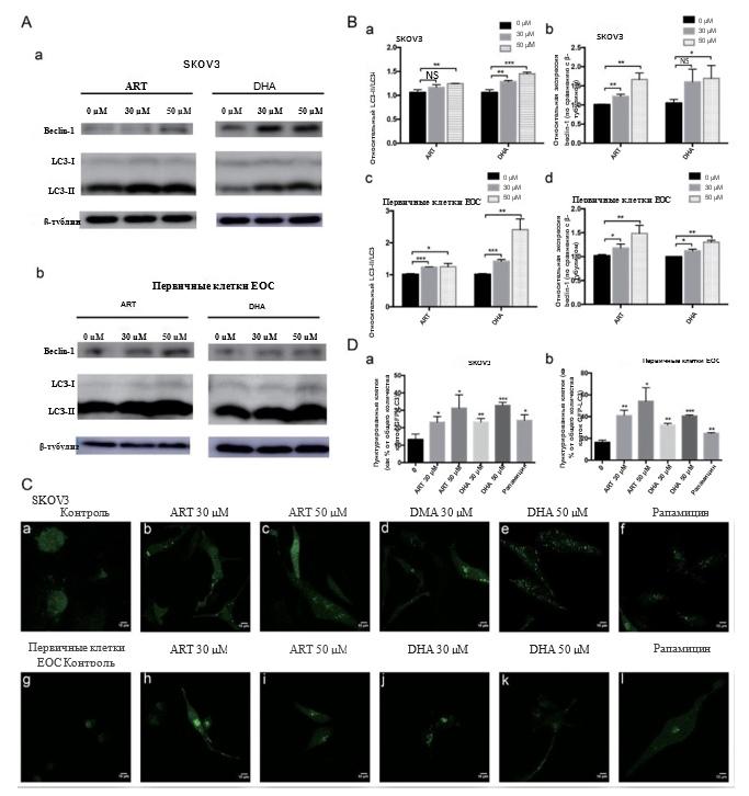 РакКожи2 РакКожи2