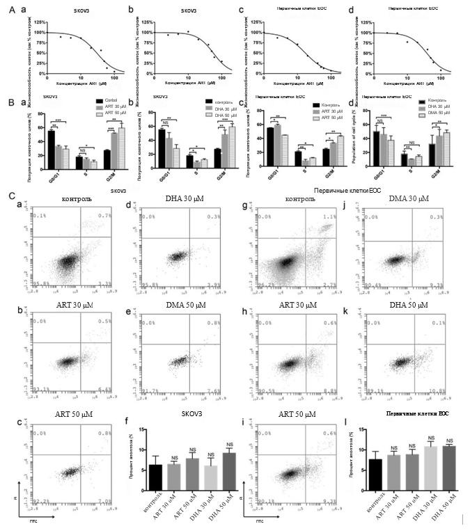 РакКожи РакКожи