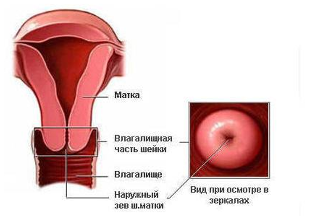 РакШейки2 РакШейки2
