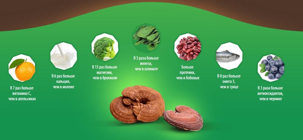 Рейши2 Рейши2