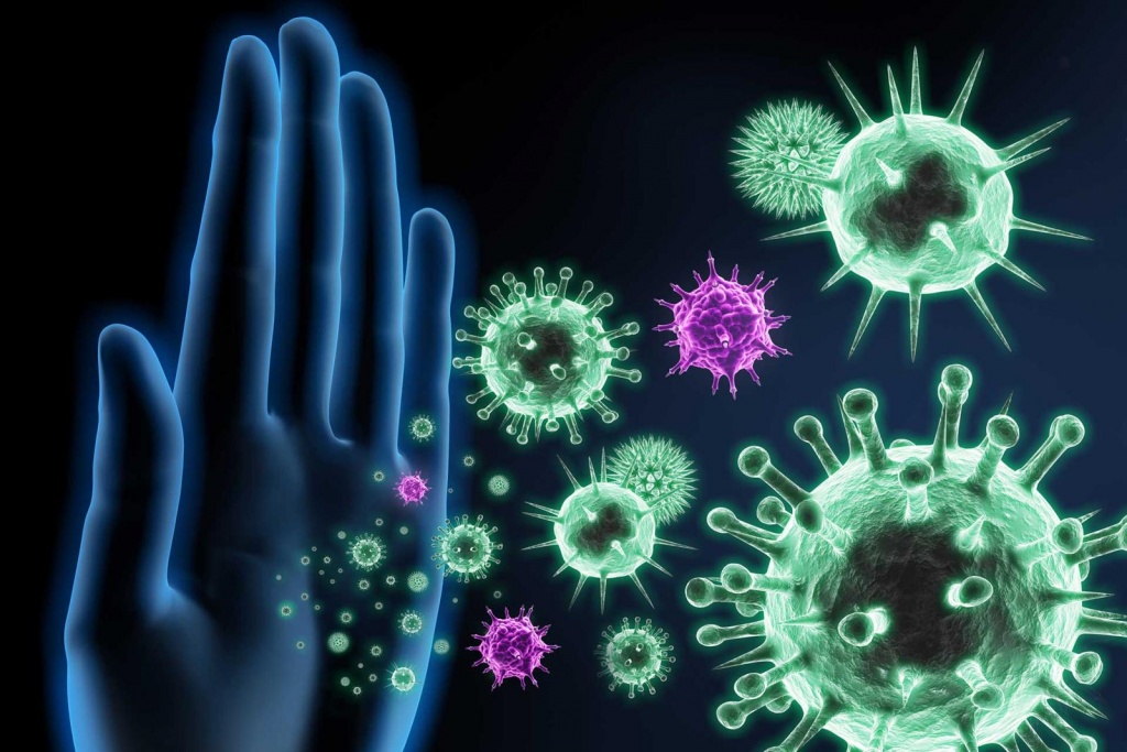 Брюква2 Брюква2