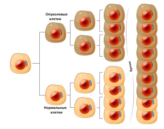 Глиома5 Глиома5