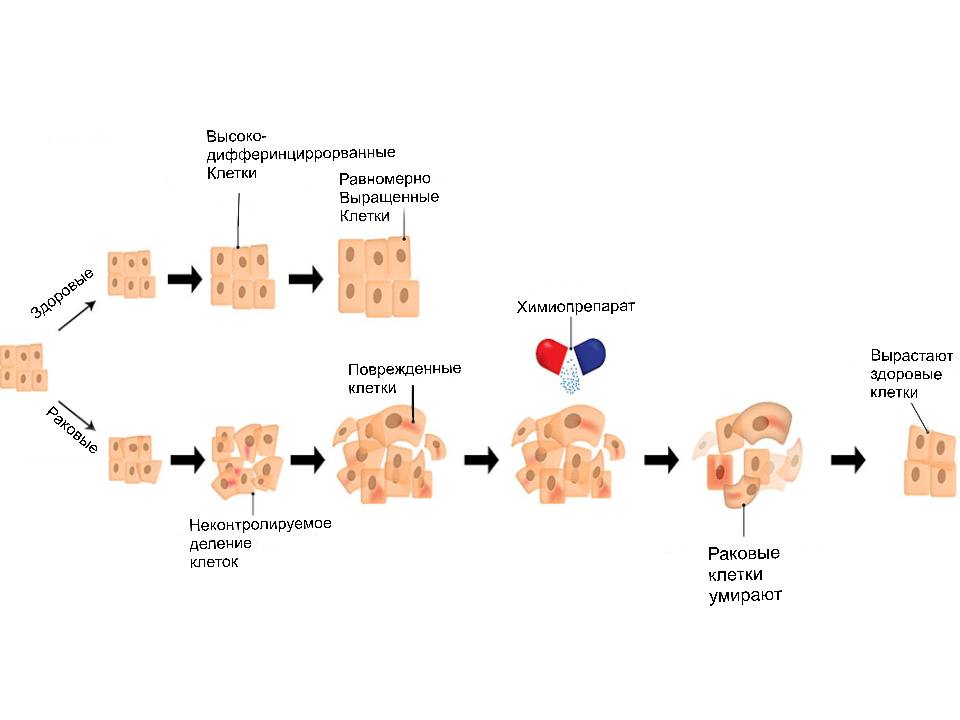 ХимиоПриРаке ХимиоПриРаке