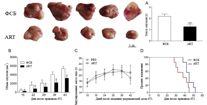 РакГруди2 РакГруди2