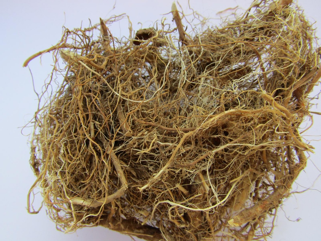 Гидрастис Гидрастис