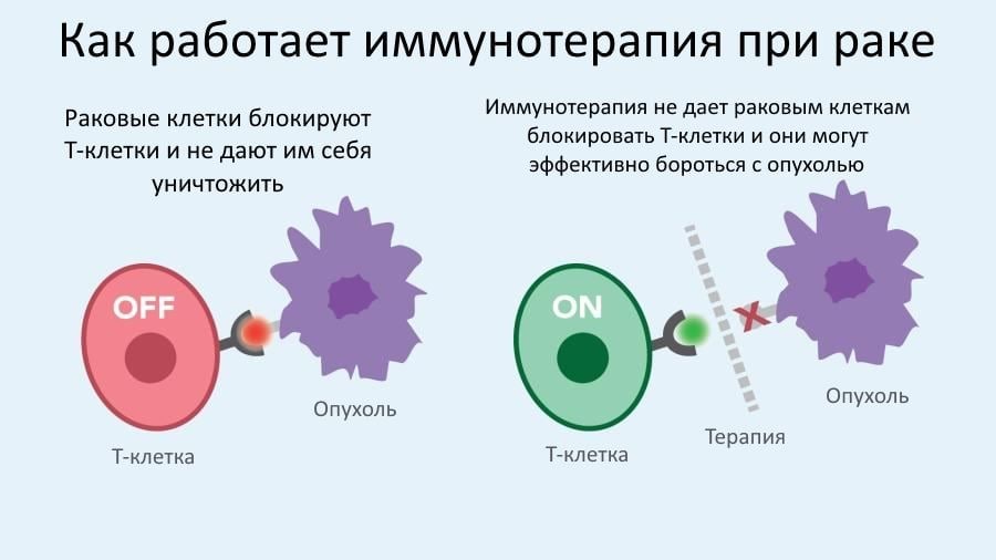 Иммунотерапия1 Иммунотерапия1