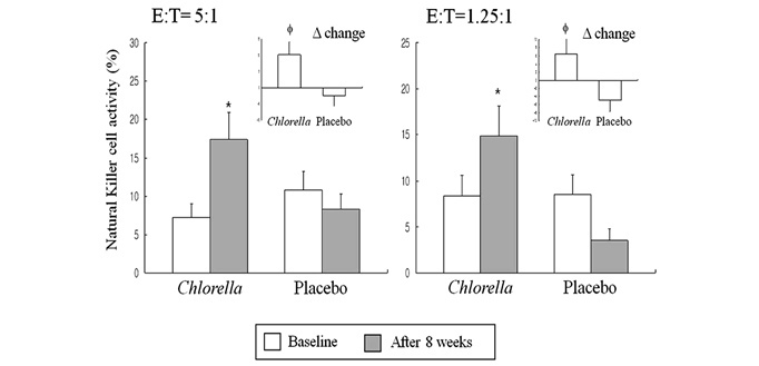 Хлорелла1 Хлорелла1